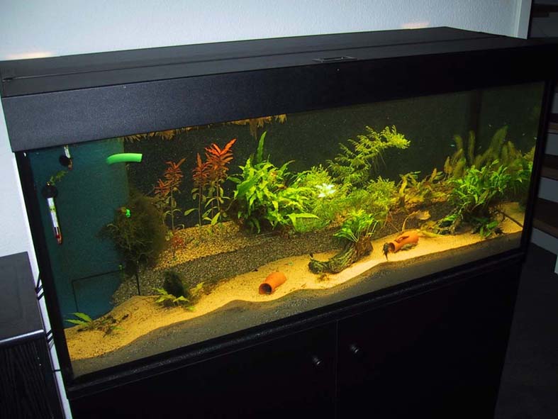 120cm Aquarium